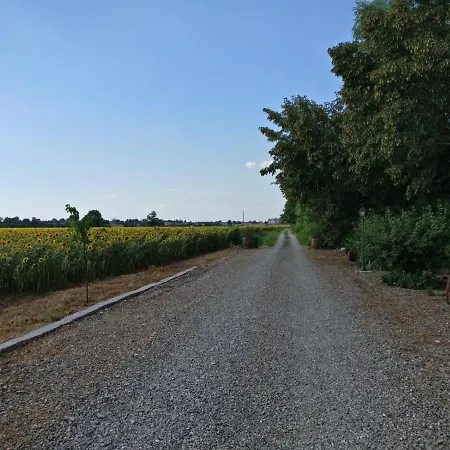 Molinetto *