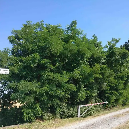 Molinetto Bed and breakfast 3*