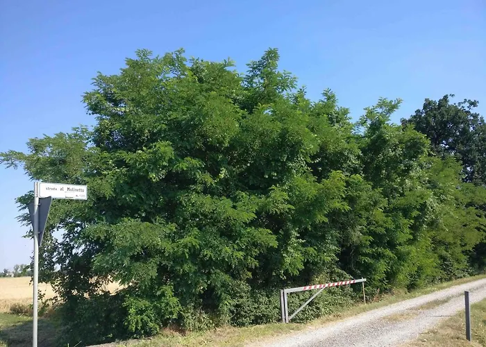 Molinetto Couette-café 3*